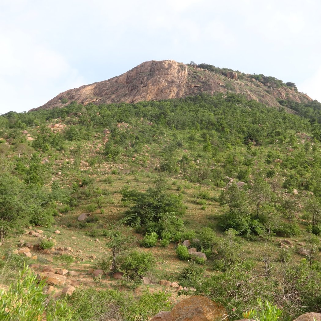 Makalidurga Morning Trek 3