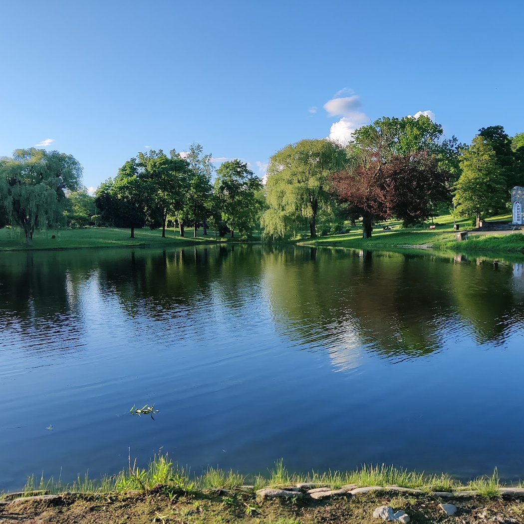 Downing Park 3