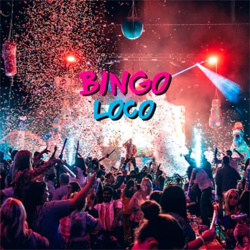 Bingo Loco 2