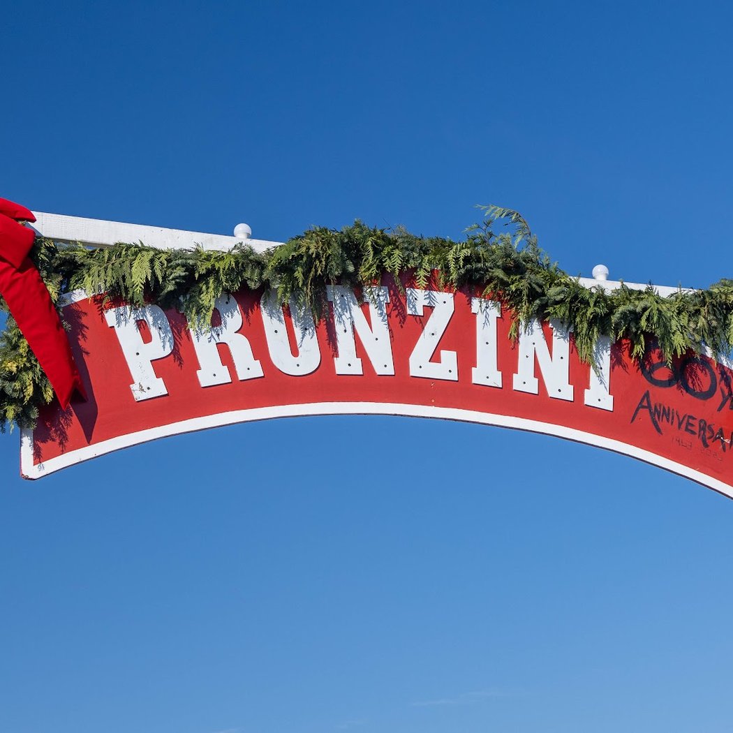 Pronzini Farms Christmas Trees & Pumpkin Patch 2