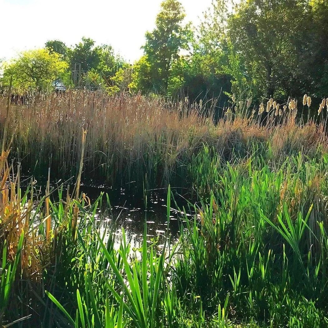 Parc de l'île des impressionnistes 2