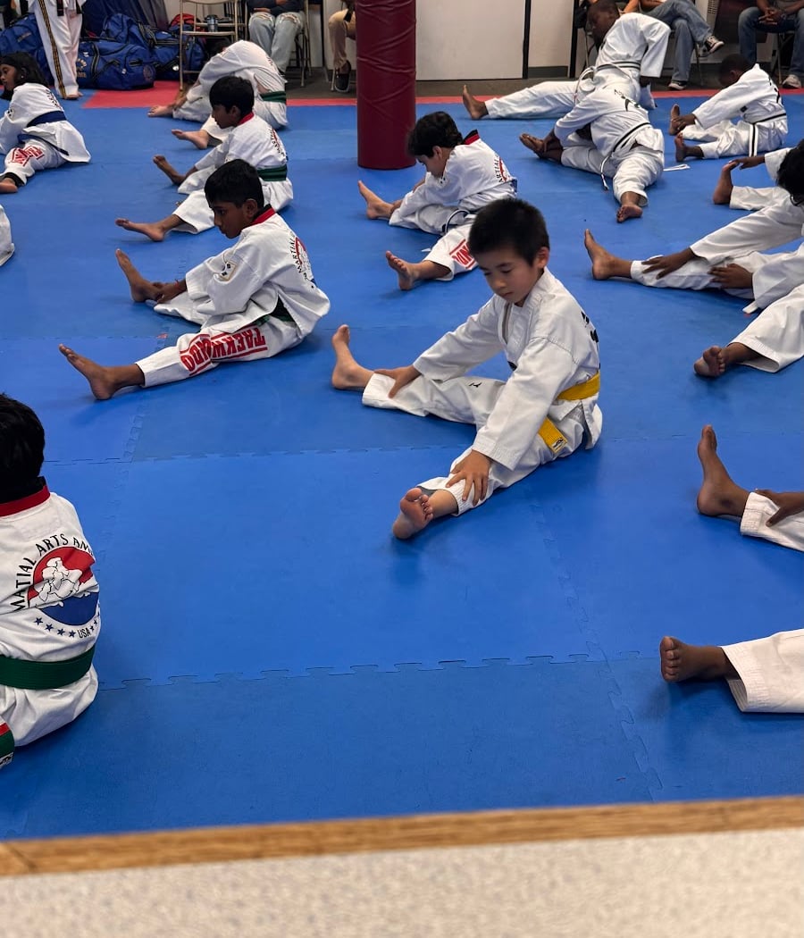 Martial Arts America 3
