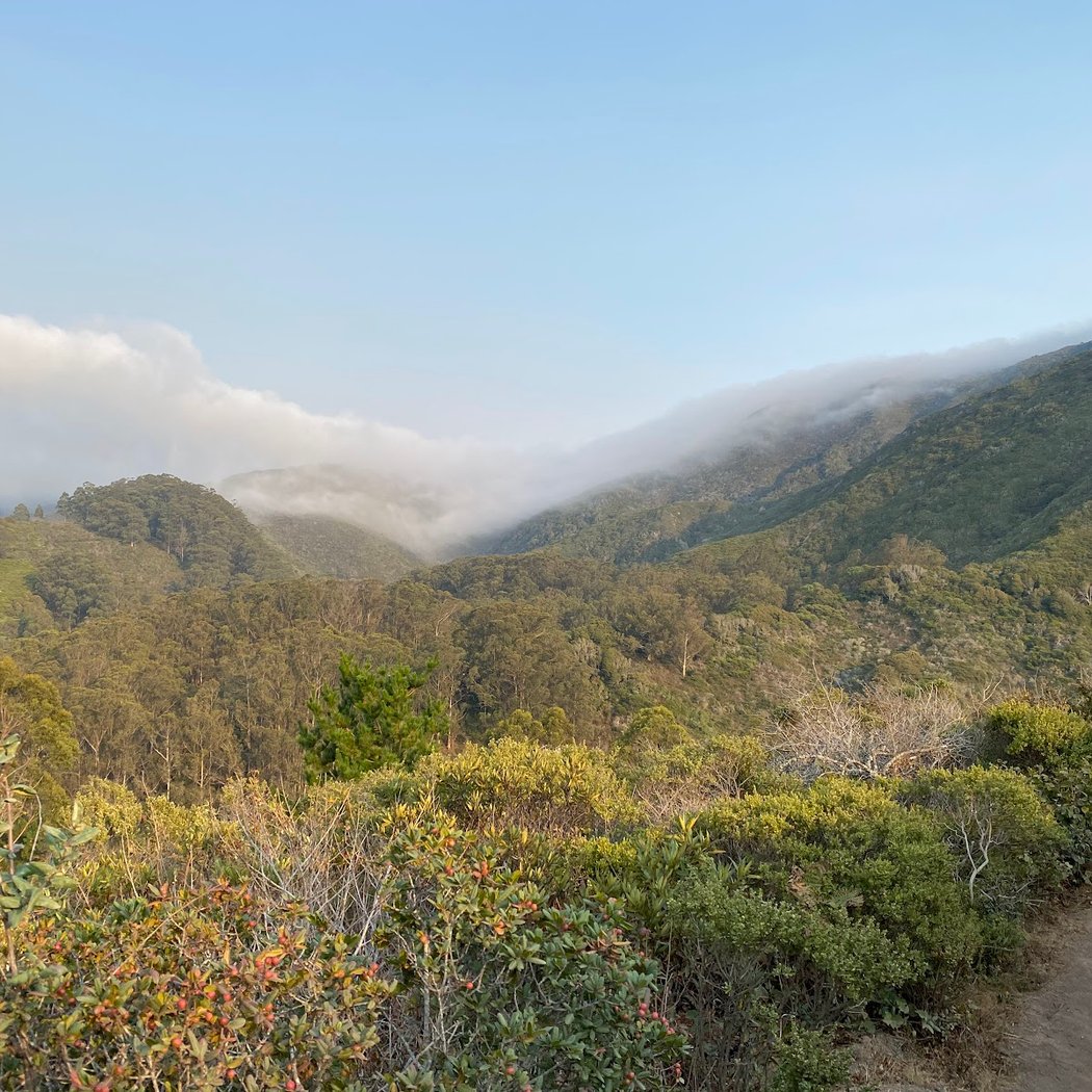 Waterfall Viewing Point 1