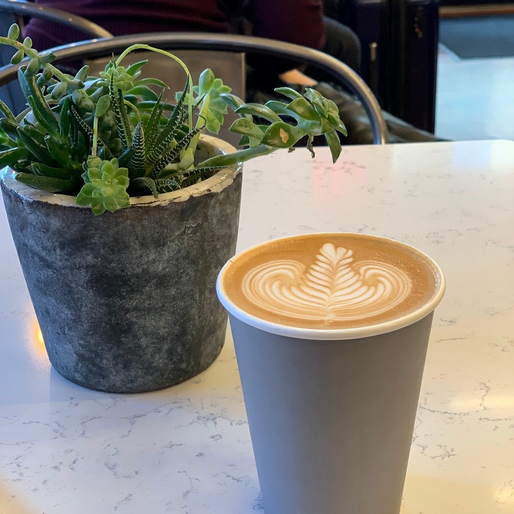 Bond St Coffee and Goods 1