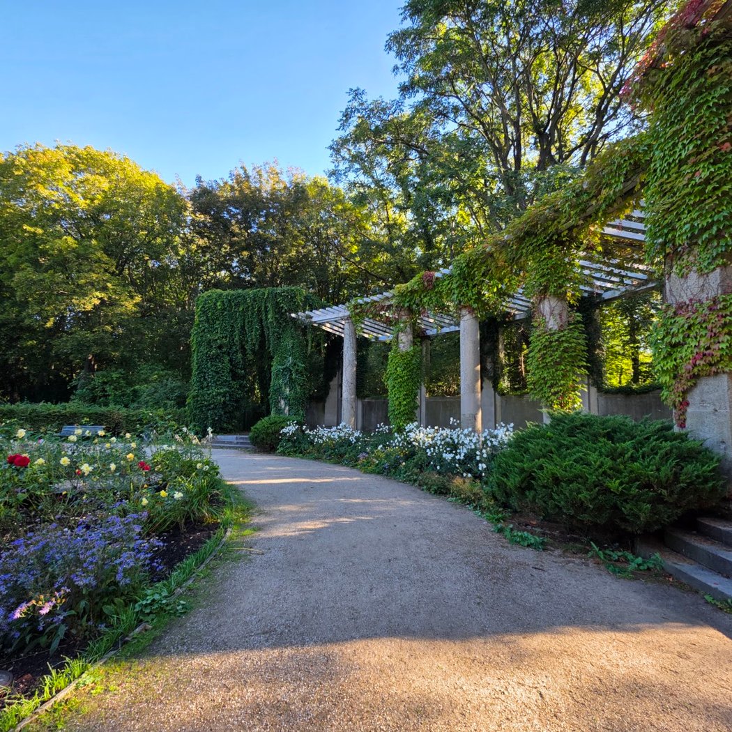 Rosengarten 3