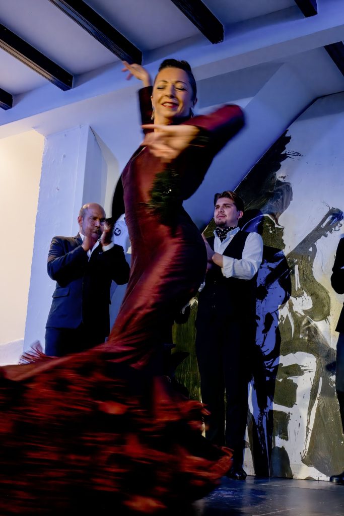 Espectáculo Flamenco en Vivo 3
