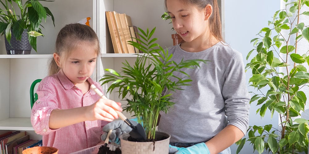 Curious Kids: Plant Planet 2