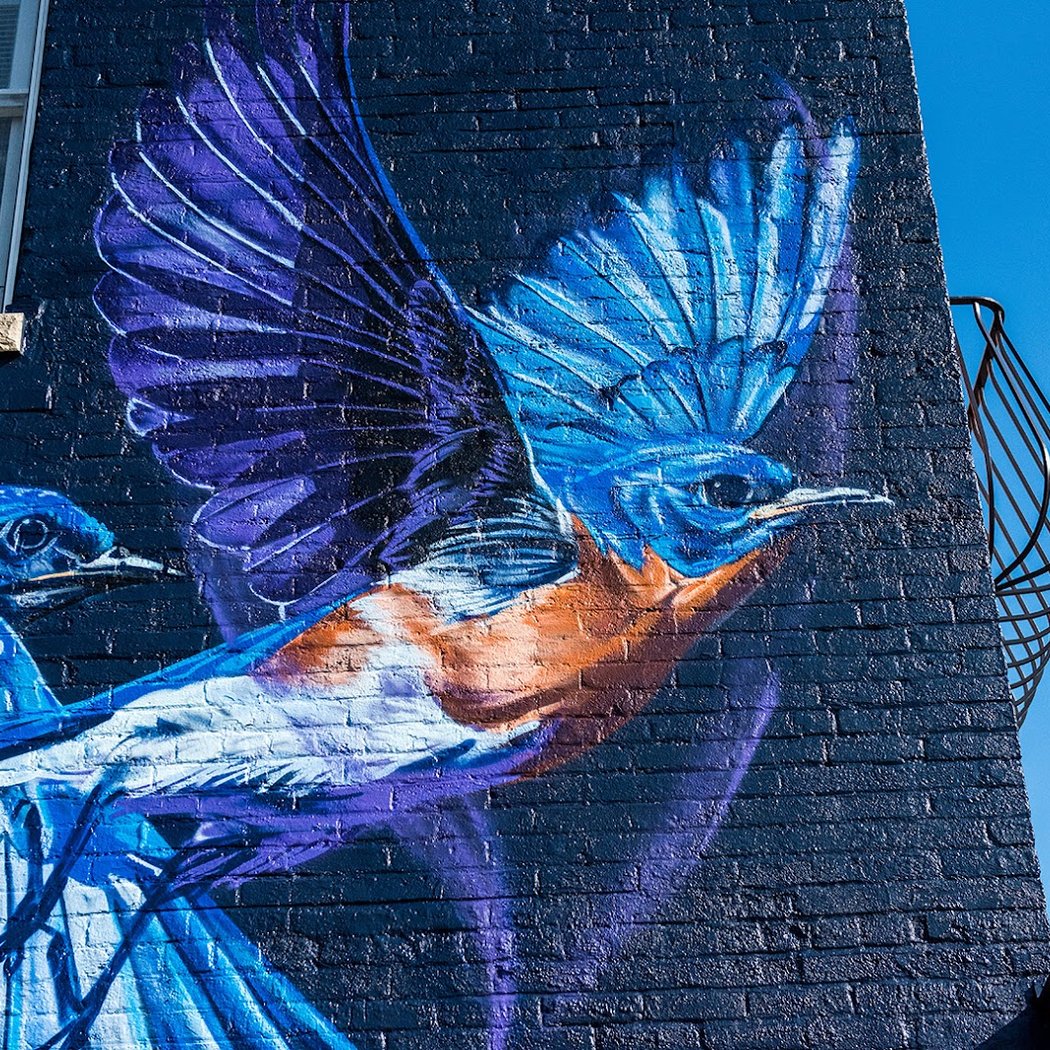 Jacob Dwyer Mural (A2AC Murals) 1