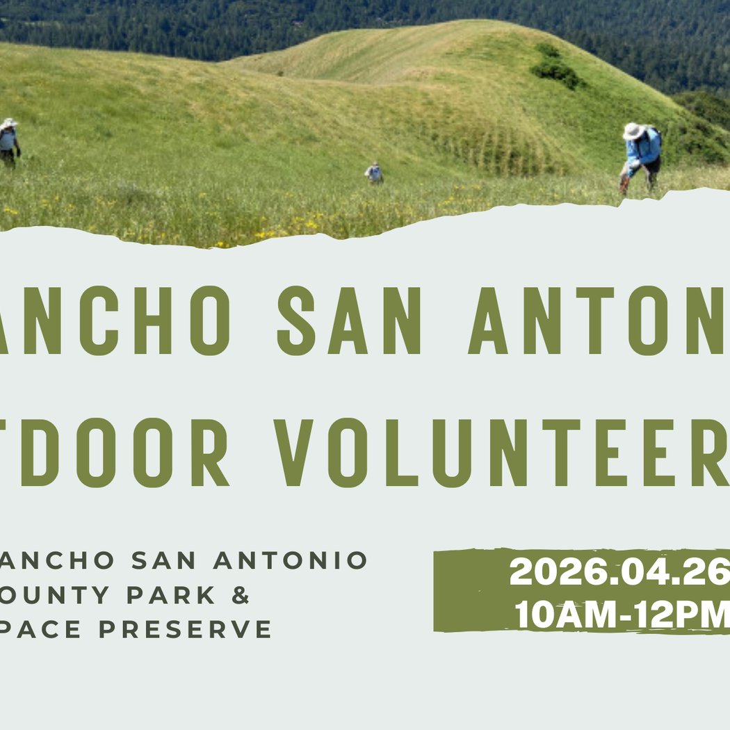 Outdoor Volunteering at Rancho San Antonio 1