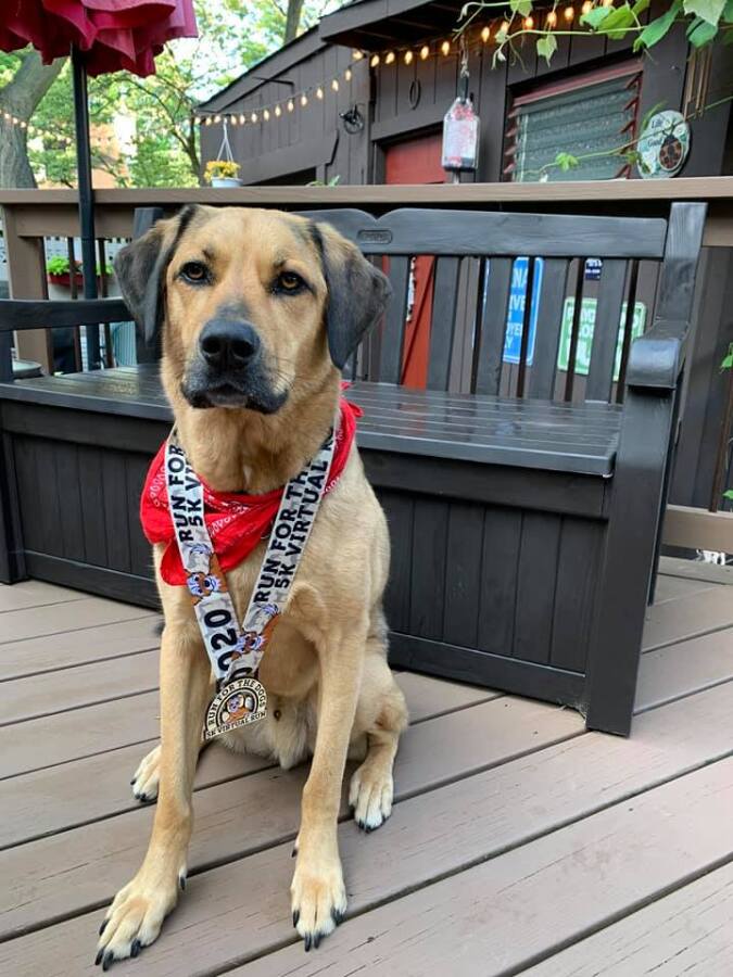 Run for the Dogs 5k 3