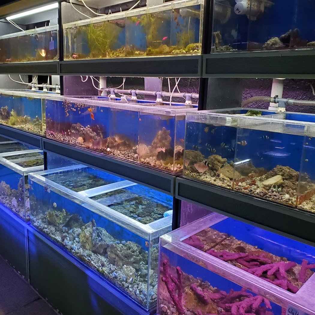 Fish Den Inc. 2