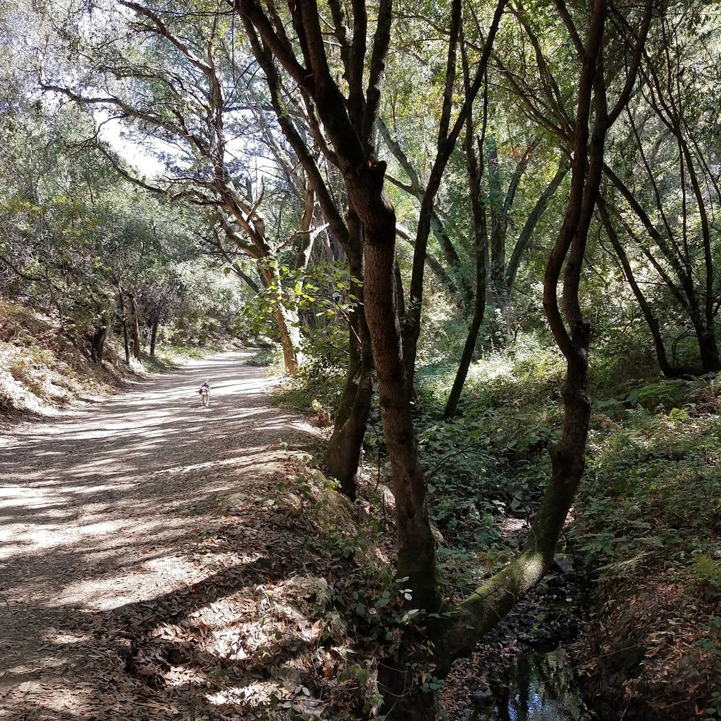 Proctor Trailhead 3