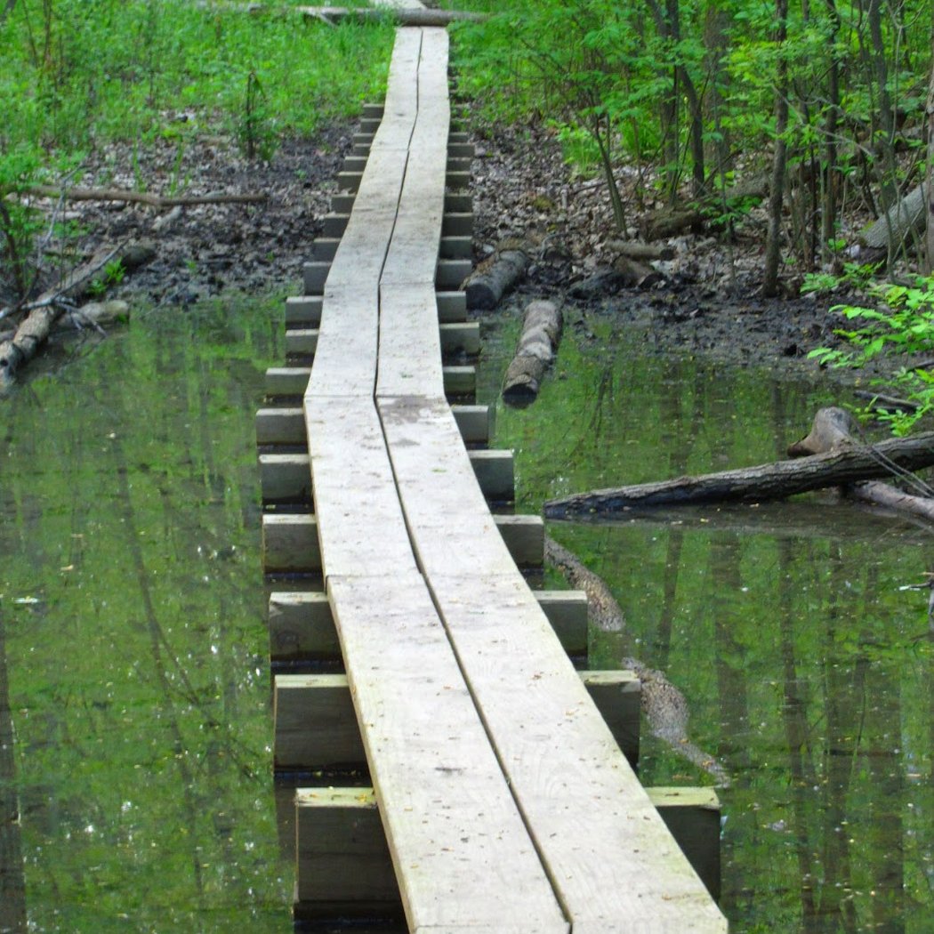 Tracks on the Trails 4