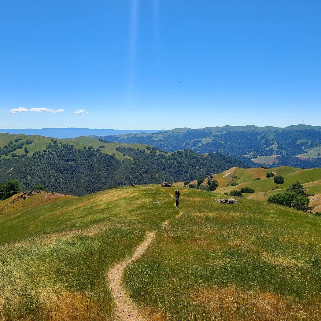 Rose Peak 1