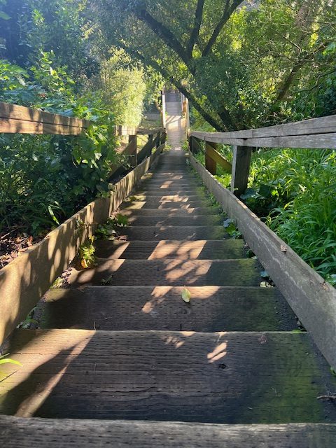 Billy Goat Hill 3