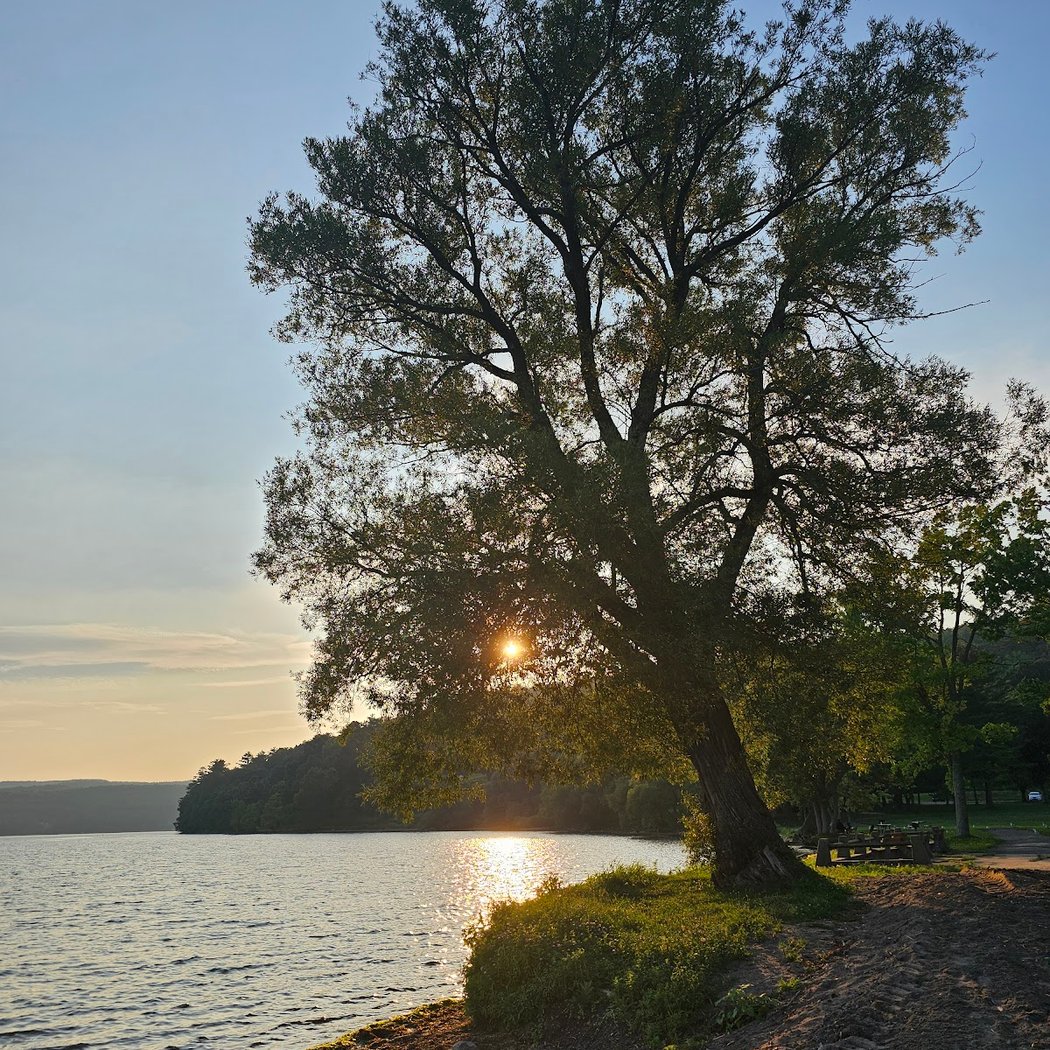 Fall Foliage at Glimmerglass State Park 1