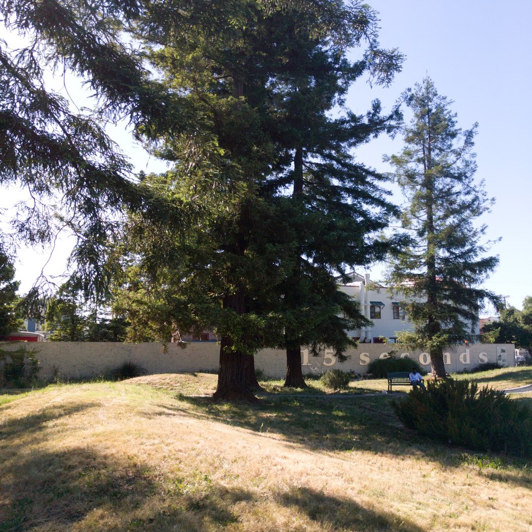 Cypress Freeway Memorial Park 3