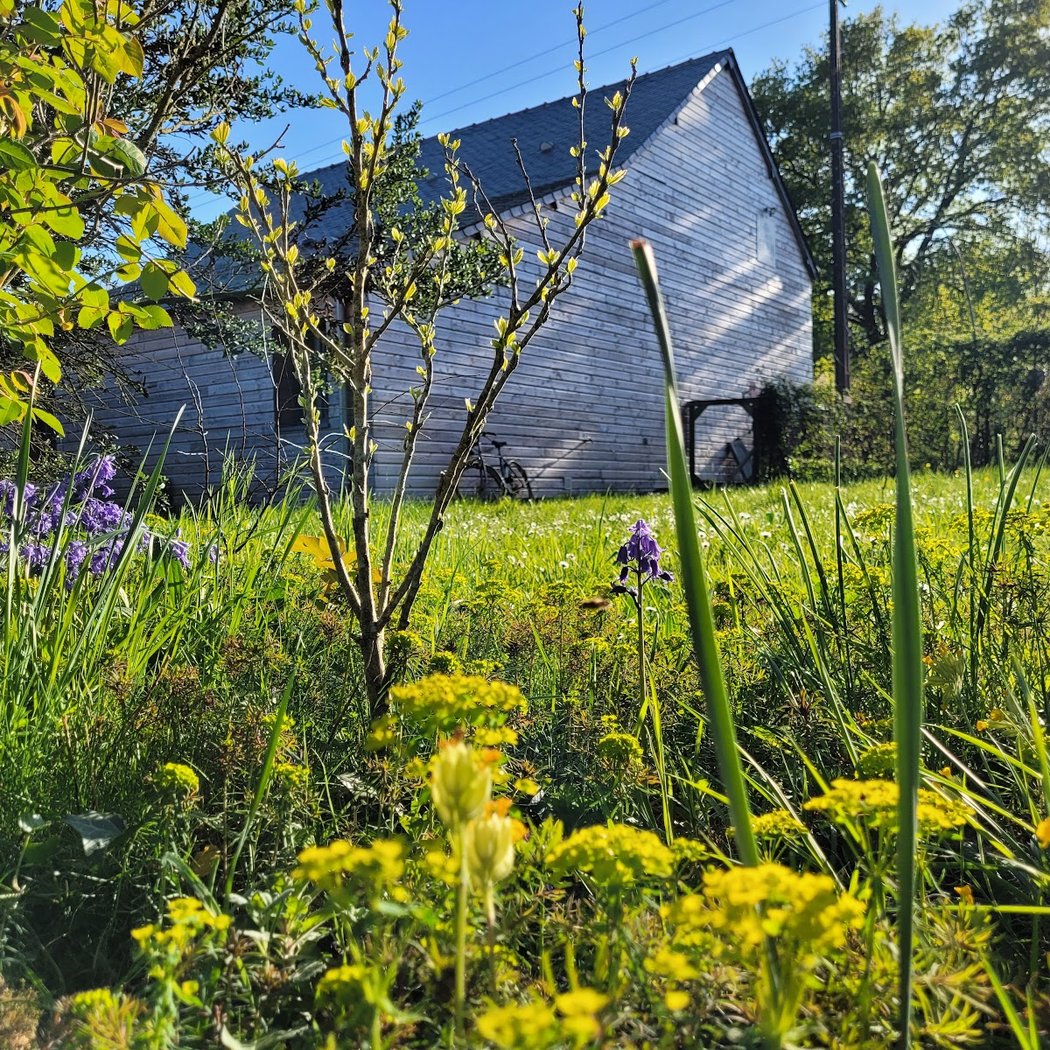 Le Petit Grain | Lieu de résidence artistique, location de salle 3
