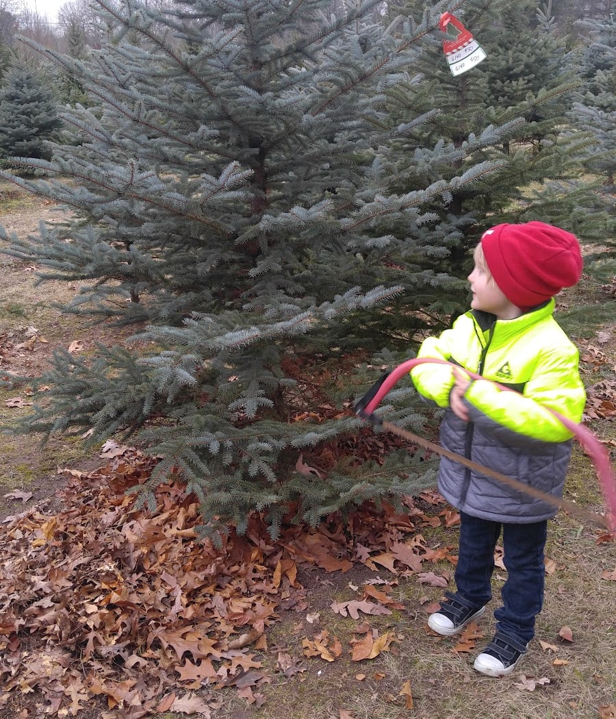 Hodgson Tree Farm,LLC- Visits by Appointment 3
