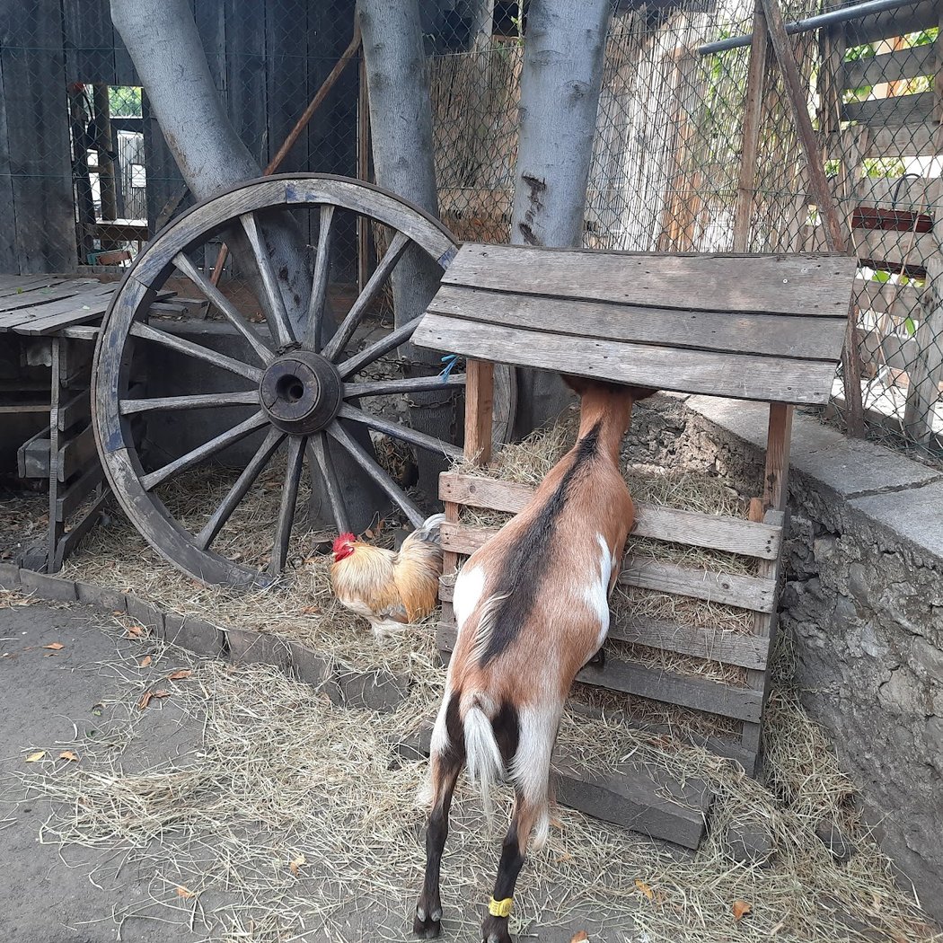 Jam session Bœuf à la ferme 2