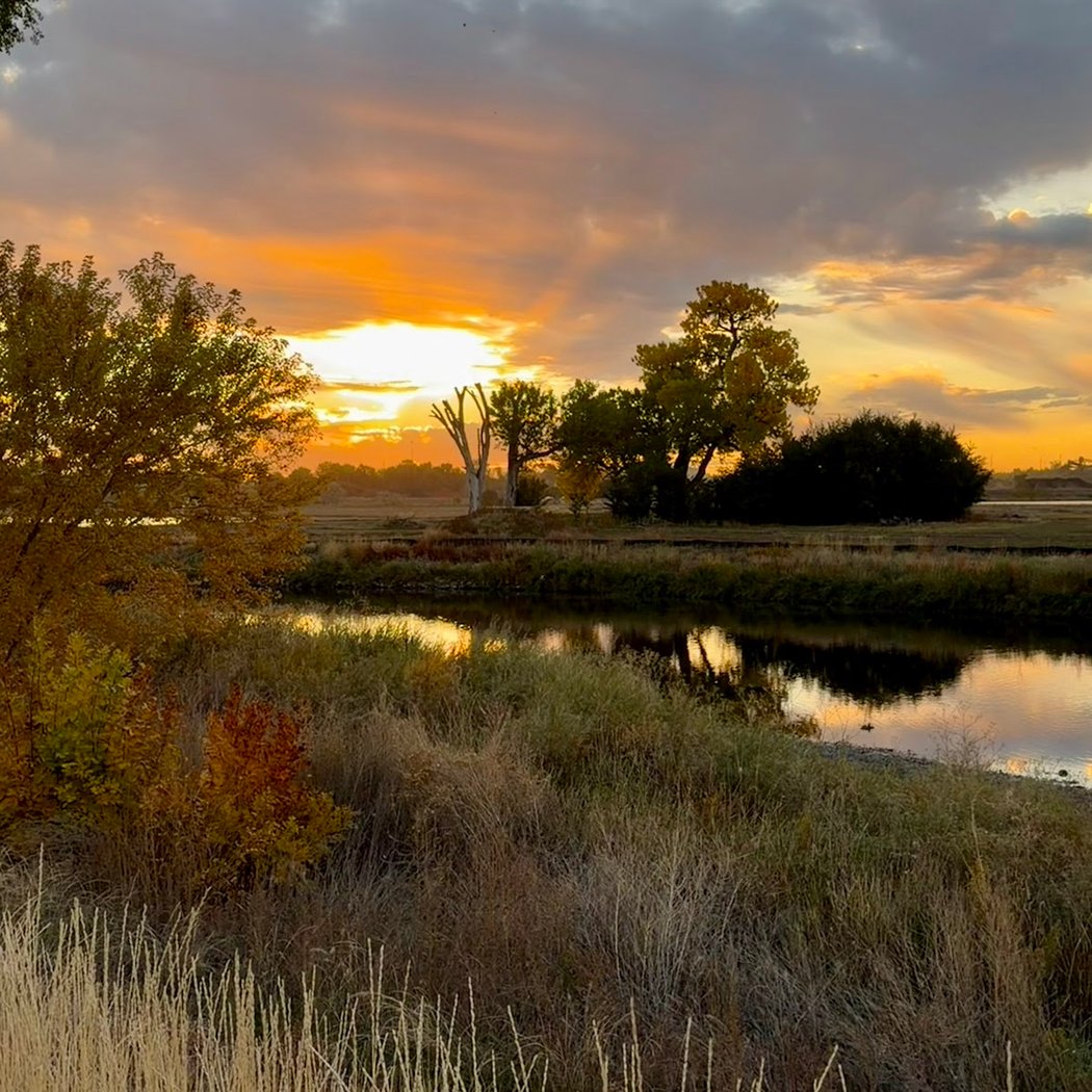 Pelican Ponds Open Space 1