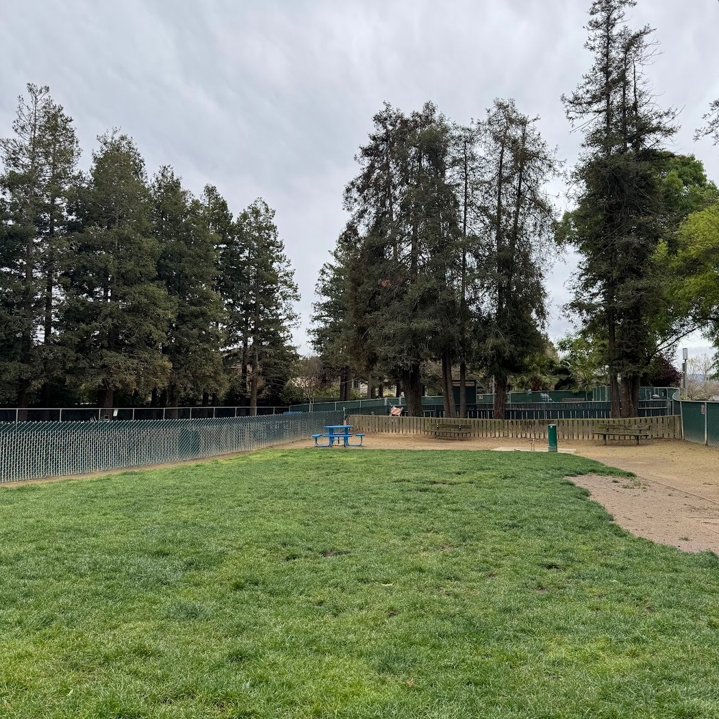 Dog Park | Las Palmas 3