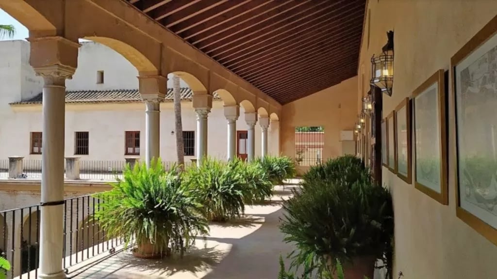 Palacio Marqueses de la Algaba 3
