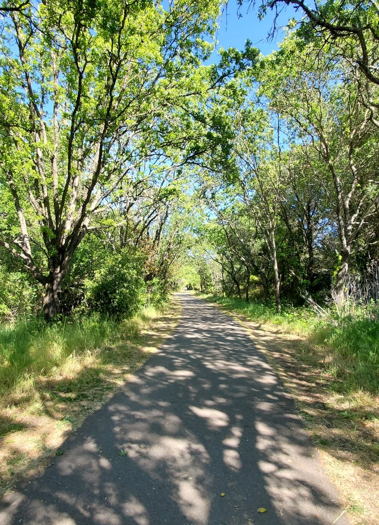 Start of Joe Rodota Trail 1