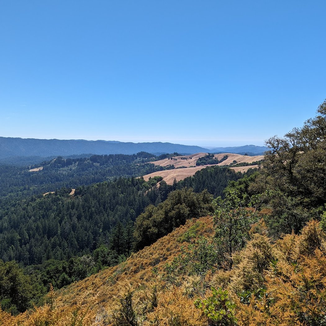 Skyline Ridge Open Space Preserve 2