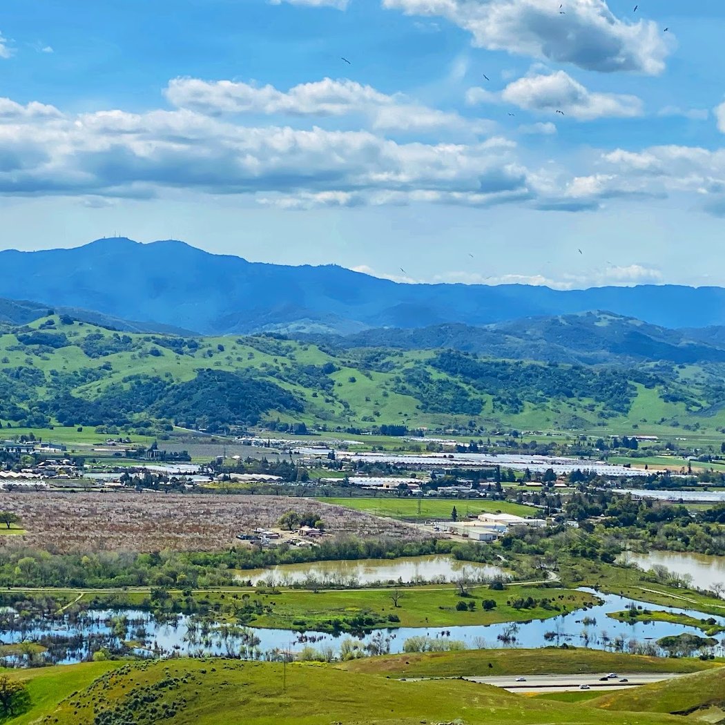 Morgan Hill 1