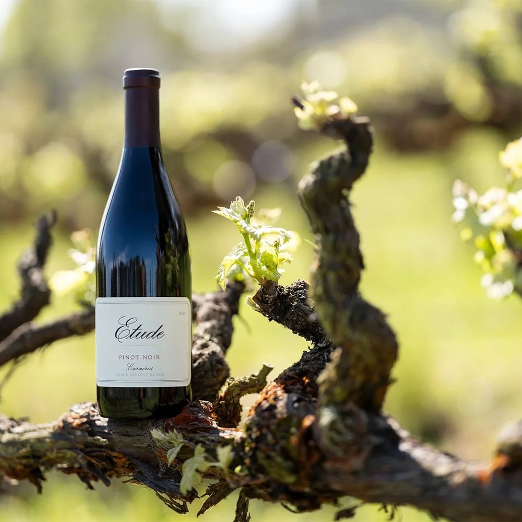 Etude Wines 2024 Pinot Noir Release