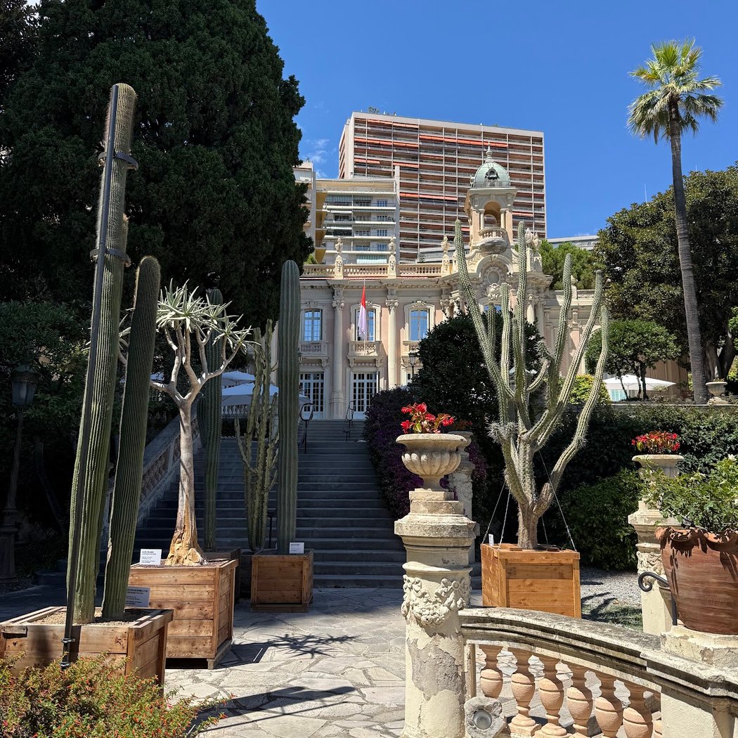 New National Museum of Monaco – Villa Sauber 1