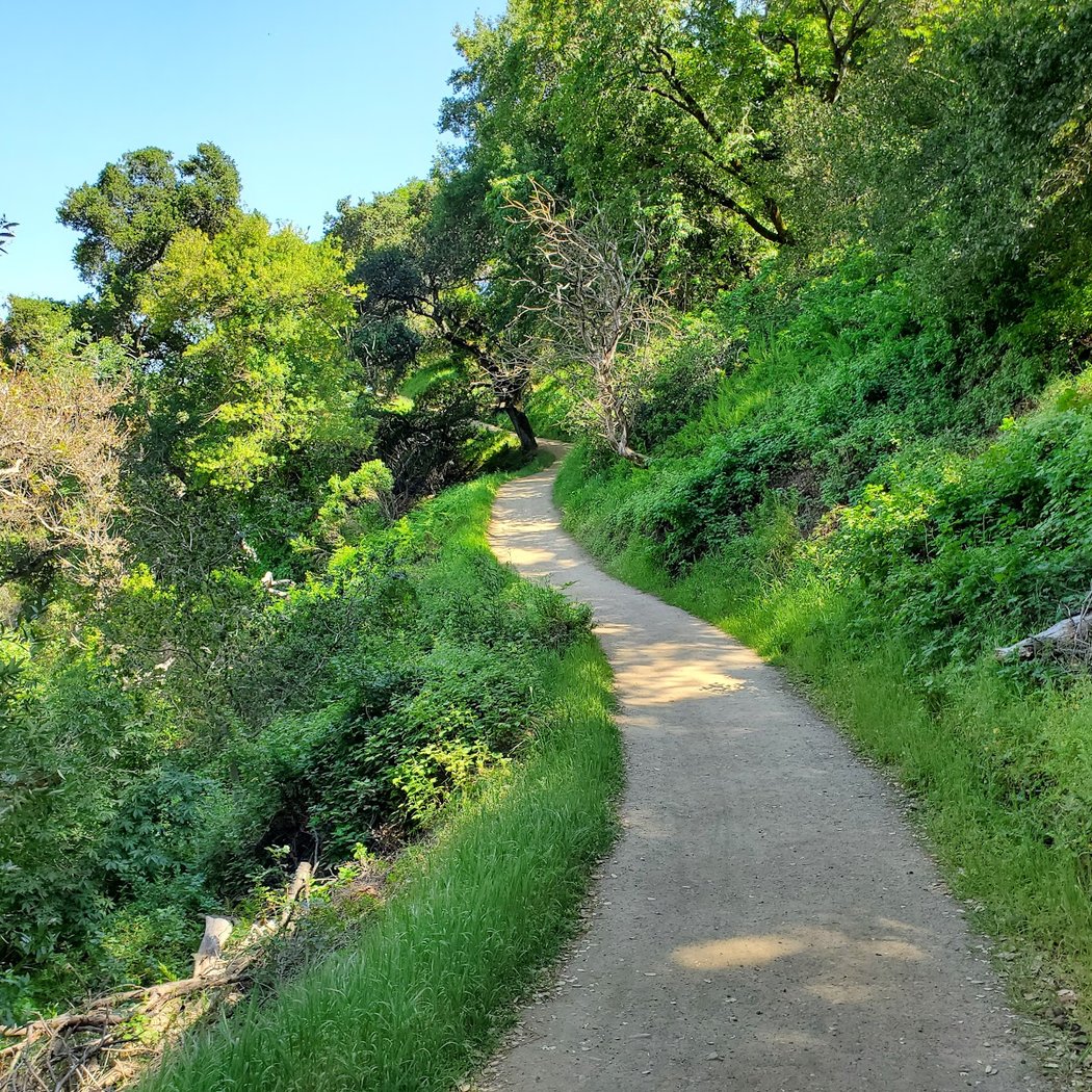 Castleridge Trailhead -- Pleasanton Ridge Regional Park 1