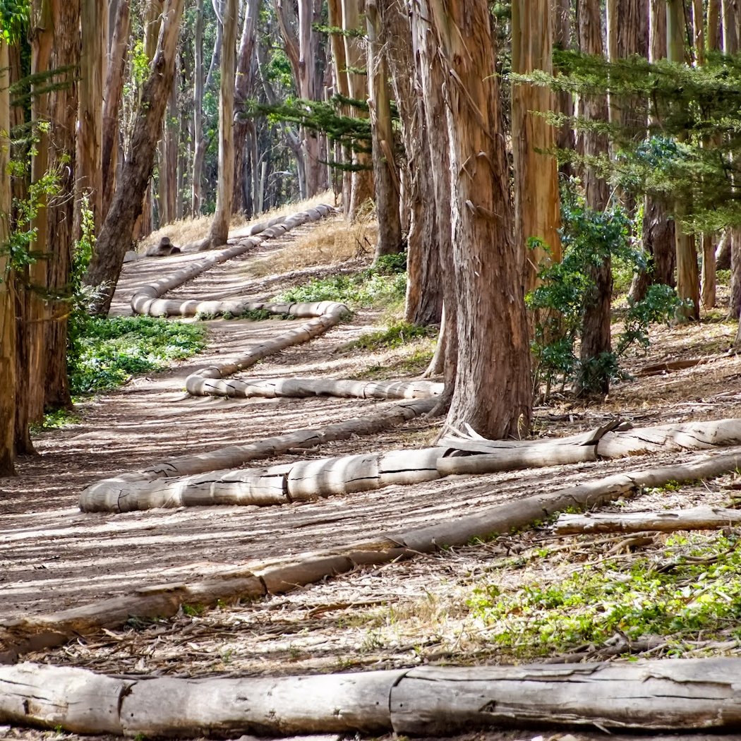 TrailRoller - Mt. Umunhum 1