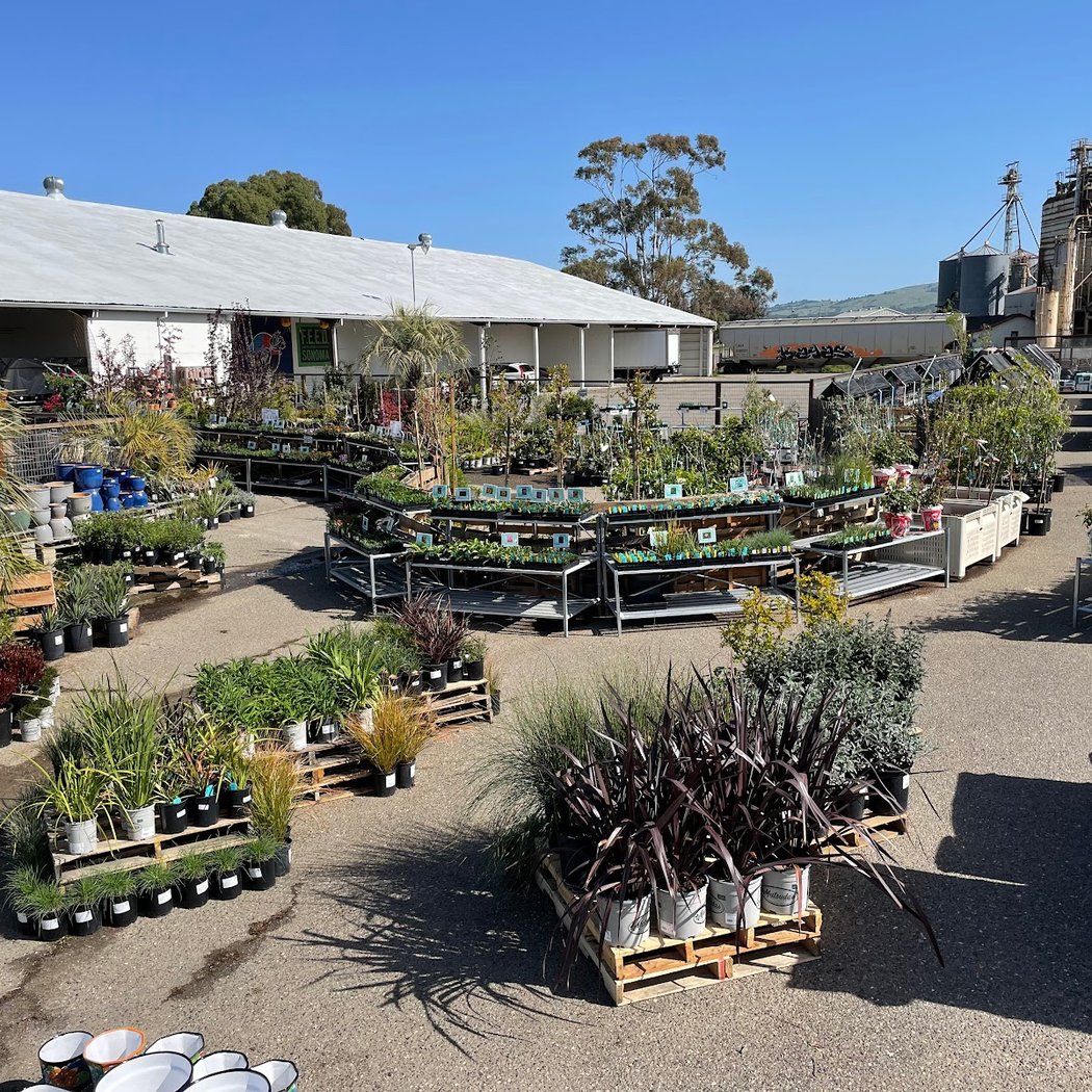 Harmony Farm Supply & Nursery - Petaluma 1