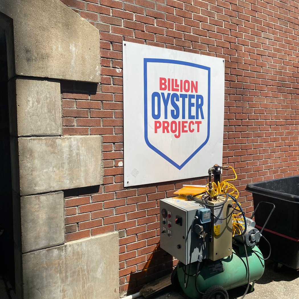 Volunteer with SGSNY at Billion Oyster Project 2
