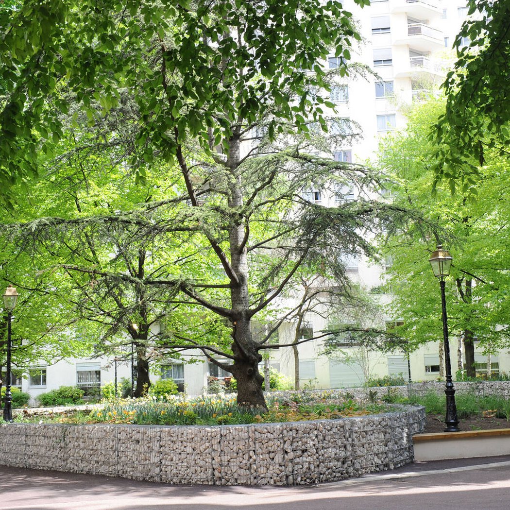 Parc de Lattre de Tassigny 2