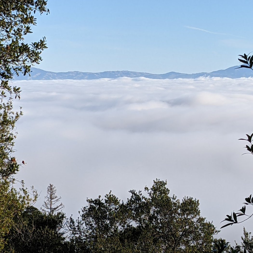 Overlook Trail 1