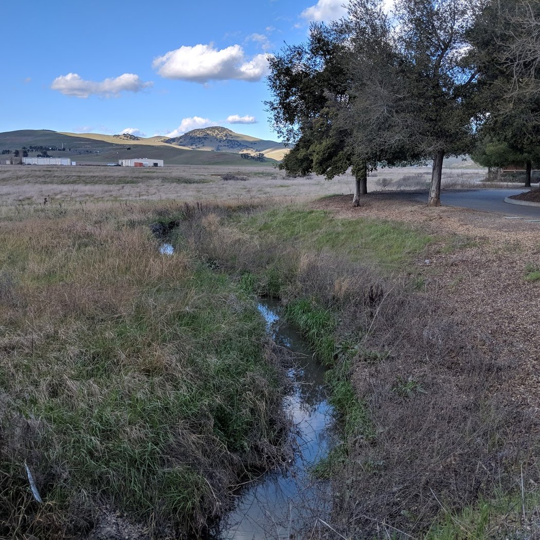 Garaventa Wetlands 3