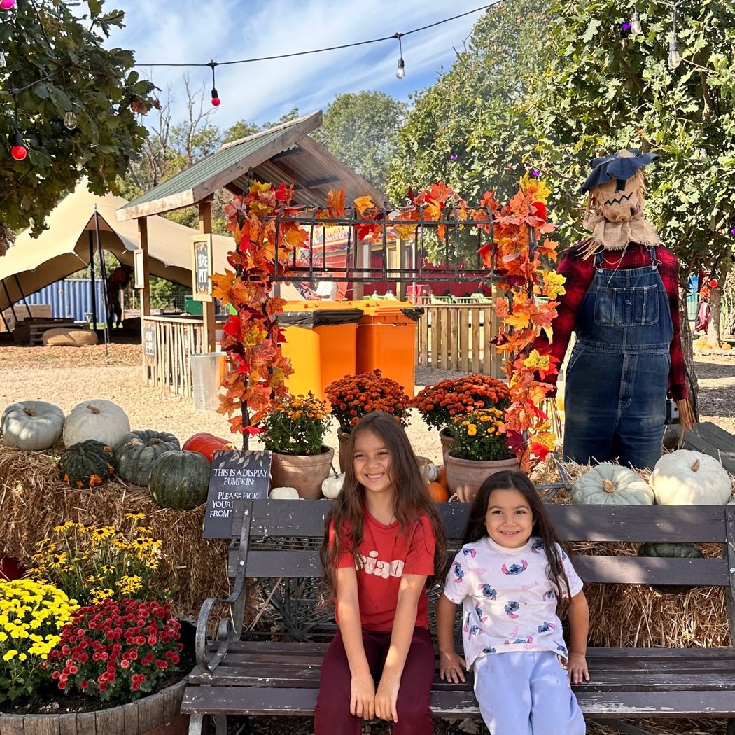Pumpkin Patch 2