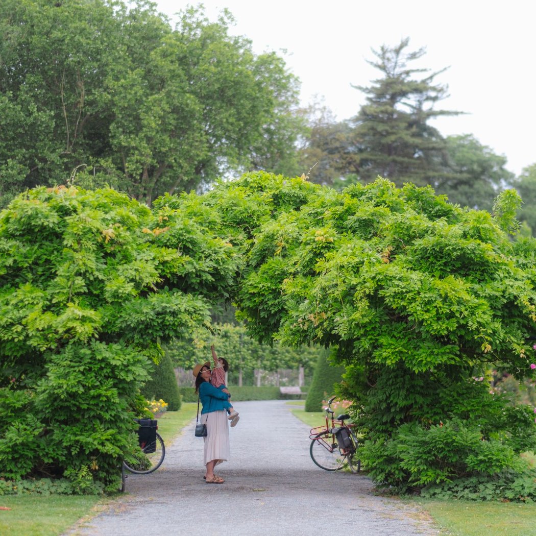 Vrijbroekpark 1