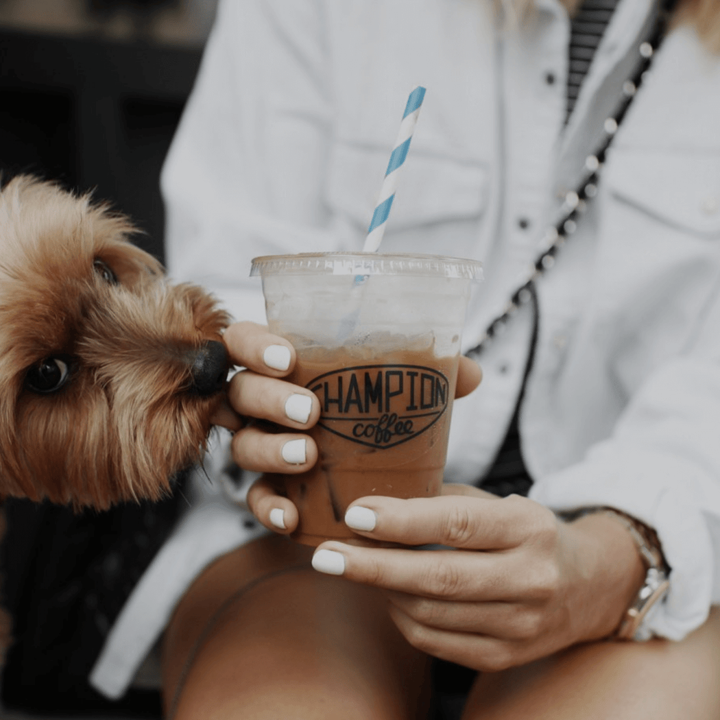 Champion Coffee 1