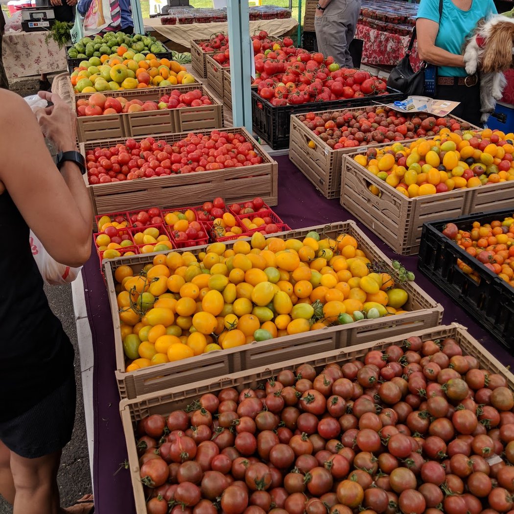 Flagstaff Community Farmers Market 1