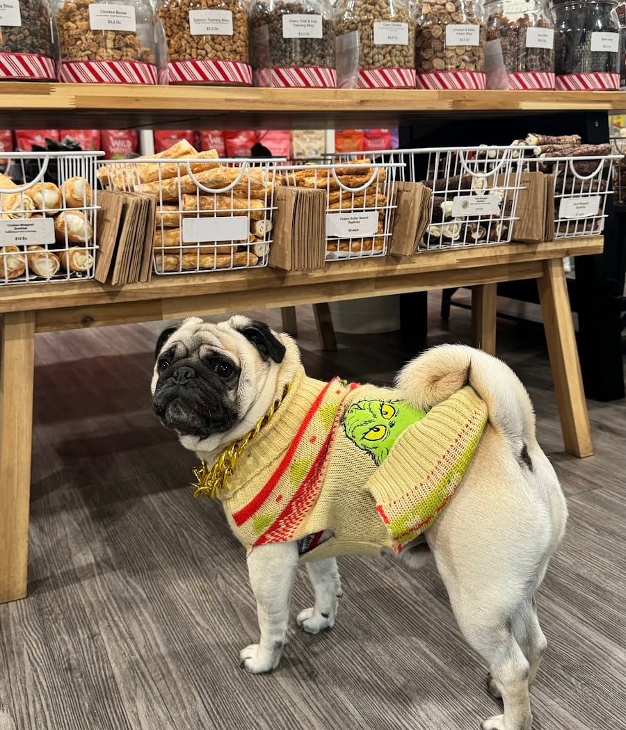 Brownie's Pet Boutique 1