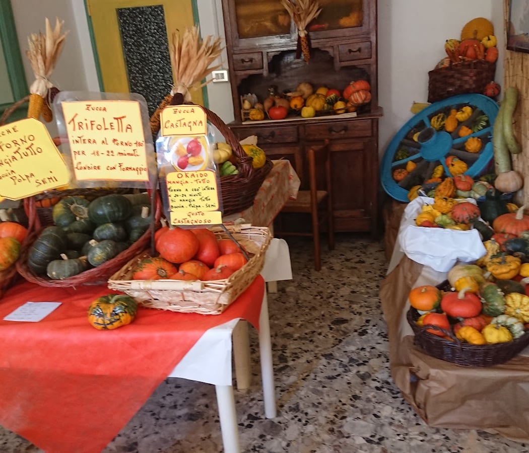 Tutto Zucche 3