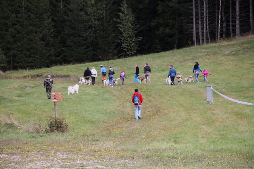 The Site Of Praille 3