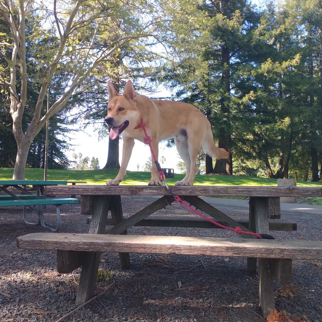 Eagle Park 1