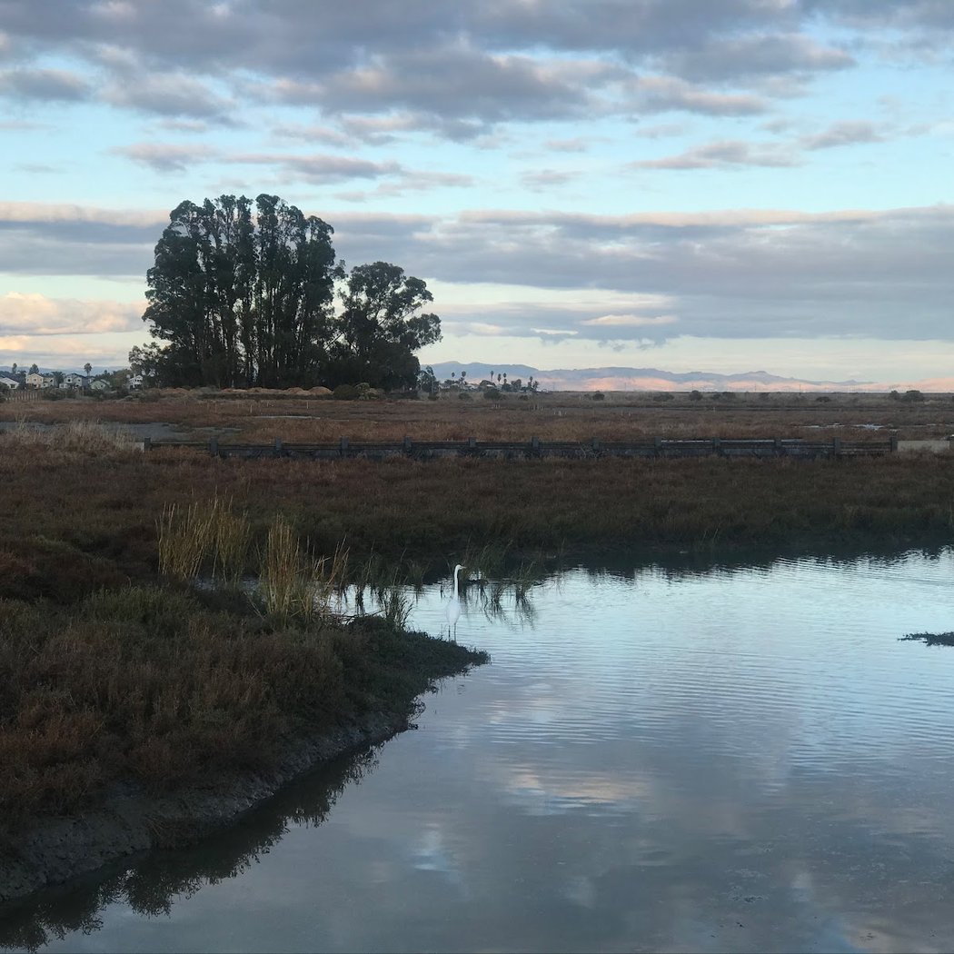 Hamilton Wetlands 2