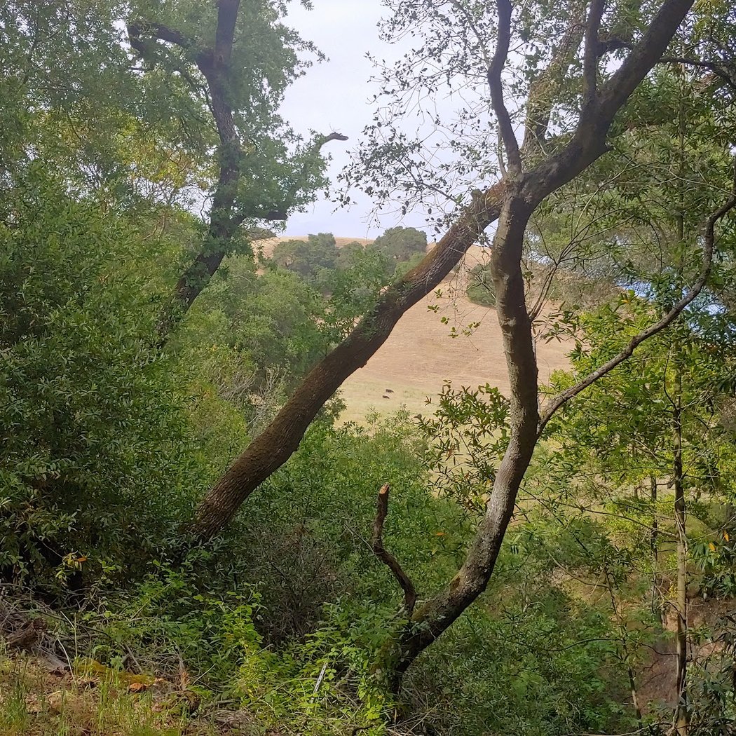 Old Briones Trailhead 3