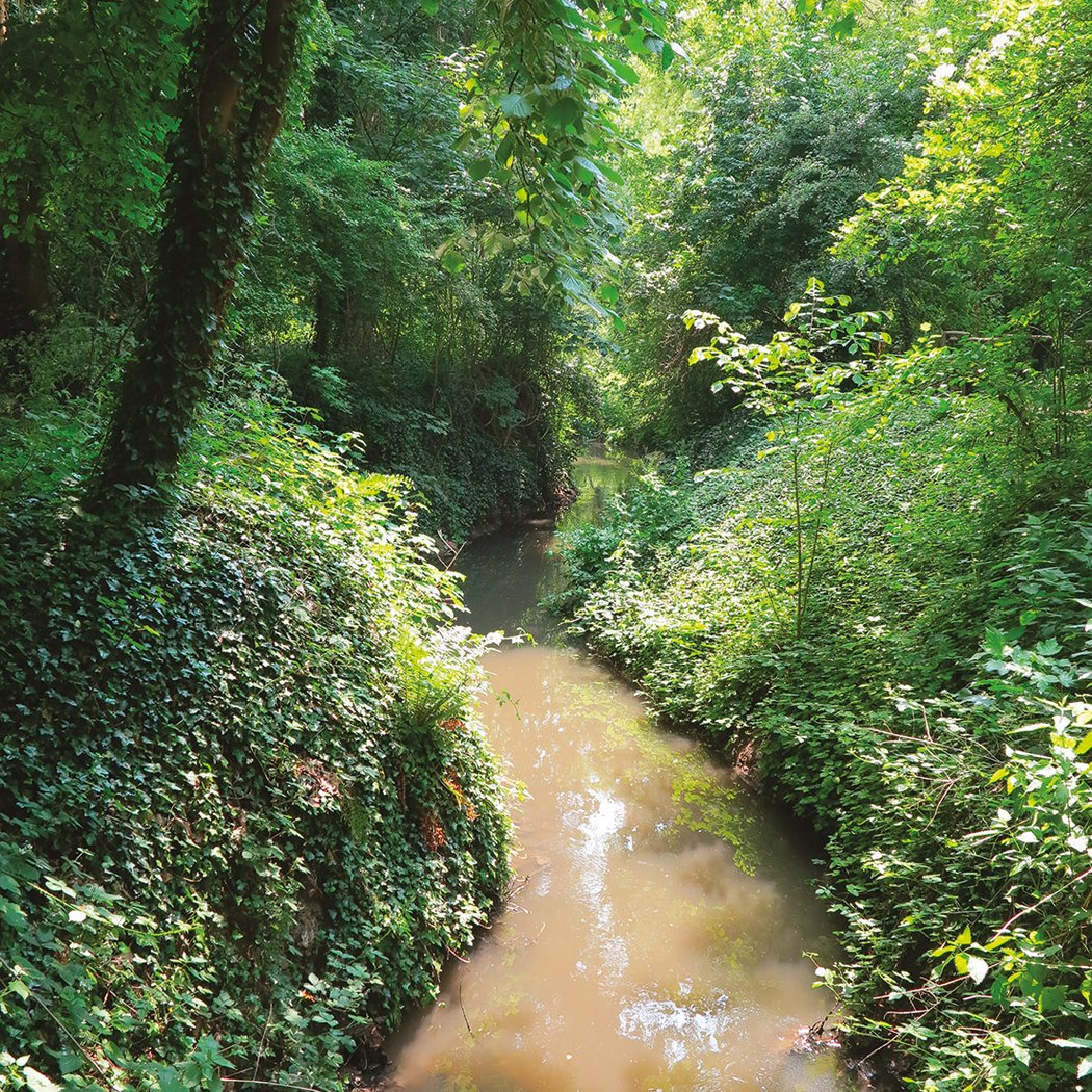 Parc des Prés de la Bièvre 1